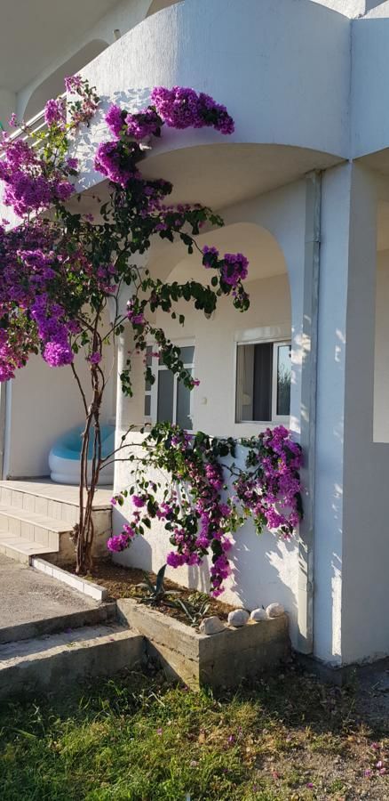 Апартаменты Apartment Light House Добра-Вода